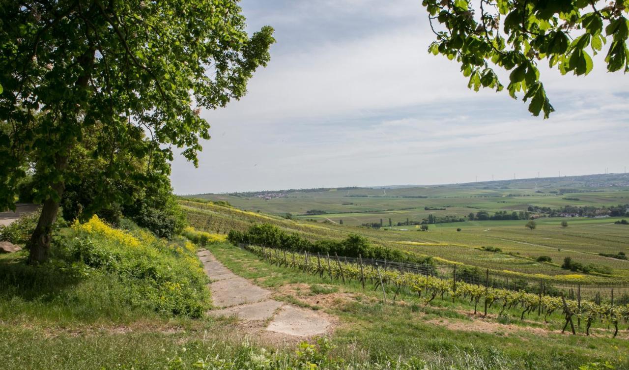 Hofgut Wissberg - Das Weinberghotel Sankt Johann  Exteriör bild