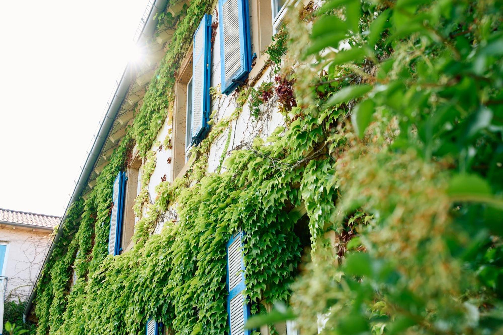 Hofgut Wissberg - Das Weinberghotel Sankt Johann  Exteriör bild