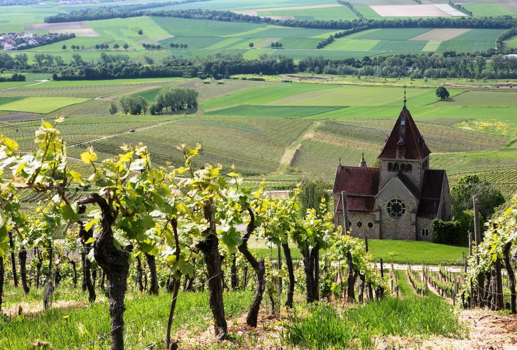 Hofgut Wissberg - Das Weinberghotel Sankt Johann  Exteriör bild